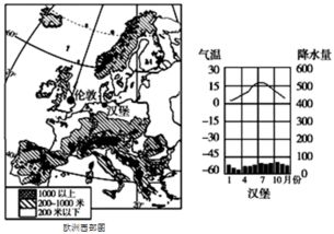 详细分析艾兰岛象草叶片分布图-地形与环境条件对植物生长的影响