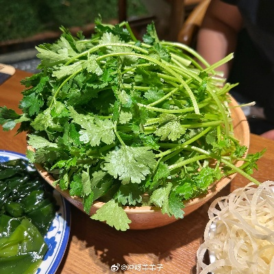 (折腰equb)折腰by清汤涮香菜，轻食健康潮流值得尝试