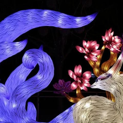 (色彩光影怎么画)缤纷光影绘画图片儿童：带你走进童真的色彩世界