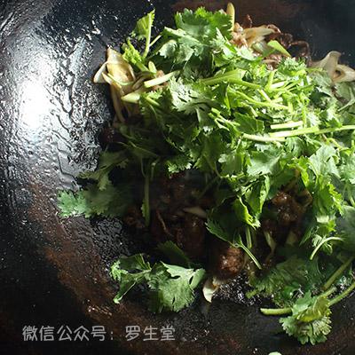 (清汤涮香菜gl小说撩动心弦)清汤涮香菜全部小说——一碗暖心的文字美食盛宴
