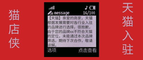 开间小店七日冲榜内容：揭秘高效经营秘籍，助你快速打响品牌！