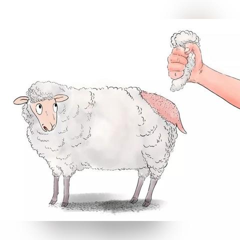 (羊毛脚本下载5.0)探讨小游戏薅羊毛脚本app的使用方法和技巧