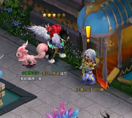 (新梦幻之城后期宠物)在梦幻之城如何抓宠物？神秘方法揭秘！