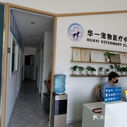 (番禺区宠物医院24小时营业)番禺区全新设立的宠物医院，为您的宠物健康护航
