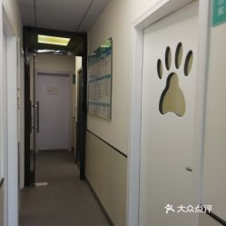 (番禺区宠物医院24小时营业)番禺区全新设立的宠物医院，为您的宠物健康护航