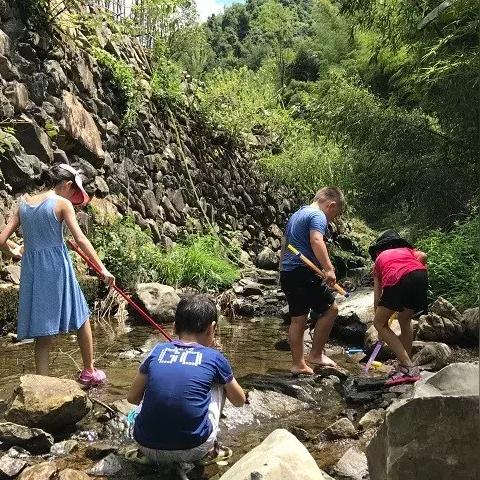 (美丽的山歌曲)美丽山妹子——探寻神秘山野的歌词灵感