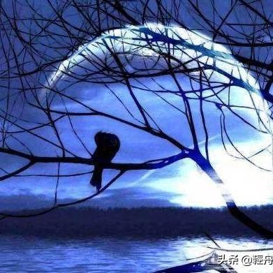 (两脚踢翻尘世界全诗)两脚踢翻尘世界，梦想与现实的较量与追寻