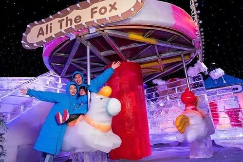 (冰雪主题游乐场)冰雪游乐场有哪些项目？让你畅玩雪地冒险的精彩活动！