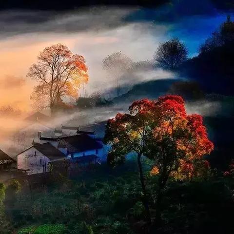 (穿越天堂攻略副本)探寻天堂之路：穿越功略追寻最美乡村