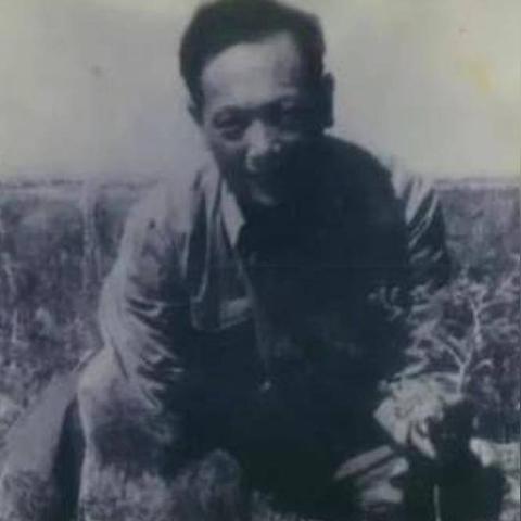 (境界守护者漫画)成为境界守望者，获取专属礼包码，开启全新游戏之旅！