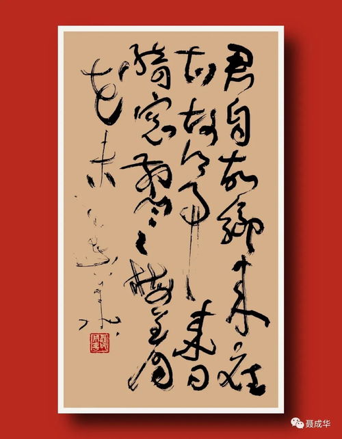 今晚澳门特马开的什么|精细解答解释落实_单一版.6.184