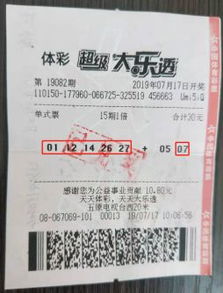 2024年新奥门免费资料大乐透|探索生活中的小确幸_清晰版.8.241