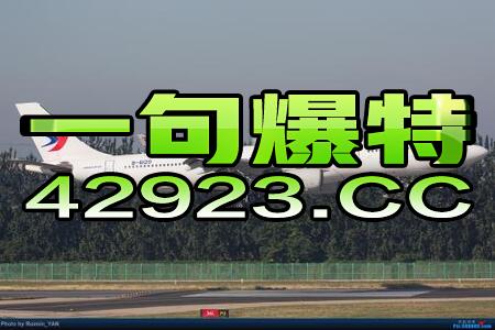 王中王一码一肖一特一中1|智慧与策略的完美结合_实现型.8.94