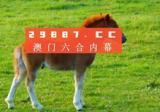 澳门一肖一码100新新新|可靠研究解释落实_进修款.9.302