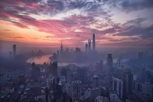49正版的图库|探索城市中的隐藏美景_Prime.7.987