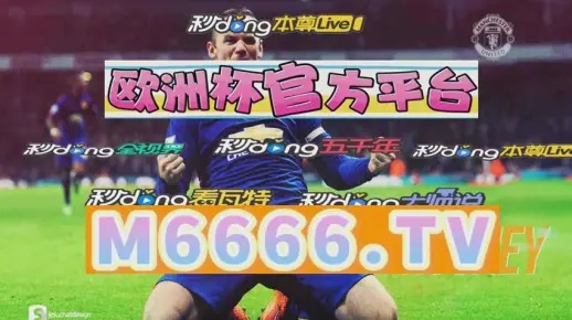 一肖一码必中概率|探索城市新风尚与秘密角落_3DM6.837