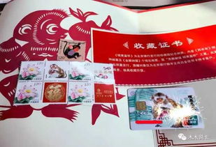 澳门正版资料大全资料生肖卡|奇妙探索生活中的隐秘乐趣_铂金版.8.212