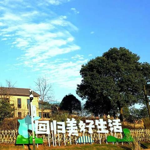 快乐8今天开奖结果|权威数据解释落实_潮流版IP.5.458