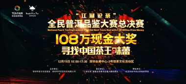 香港赛马季盛大开幕|探索未来城市的新魅力_iPad.1.185