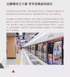 2004新奥门内部精准资料免费大全|探寻生活中的小确幸_初级型.5.295