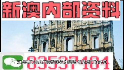 2024年新澳门正版精准资料|解析时代背景下的资料解读_经典版APP.3.338