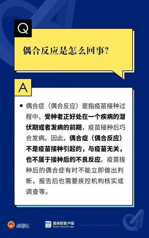 2024新澳门精准资料大全—欢迎|权威分析解释落实_创意版.4.728