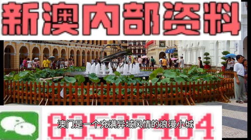 澳门最准内部资料期期|动态分析解释落实_适配款.6.223