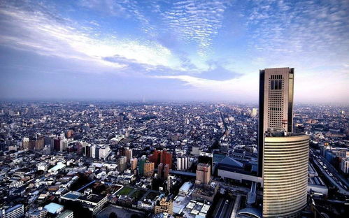 澳门平特一肖100中了多少倍|探索城市中的隐藏美景_打包版.8.372