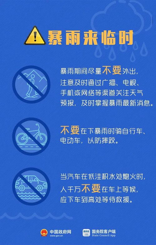 正版资料免费精准新奥生肖卡|探索未来科技发展趋势_完整制.9.838