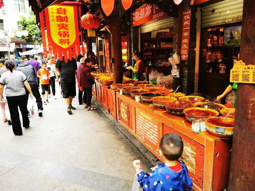 香港494949最快开奖直播|探索古镇风情与美食之旅_Nexus.2.959