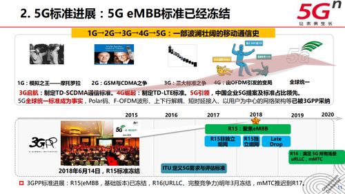 澳门三中三精准网站|全方位解决问题的有效策略_清洁版.8.294