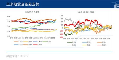 二四六天天308好彩头|探索未来教育新趋势_Deluxe.7.383
