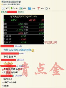 2024新奥资料免费精准天天大全|现象解答解释落实_梦幻版APP.1.754