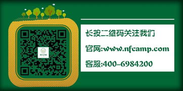 六盒宝典66039免费下载安装|探索生活中的小技巧_实验版.6.954
