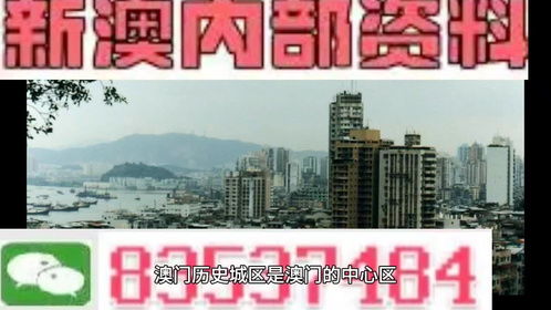 新澳门精准一肖今晚中特|真实解答解释落实_极速版SSIP.8.454
